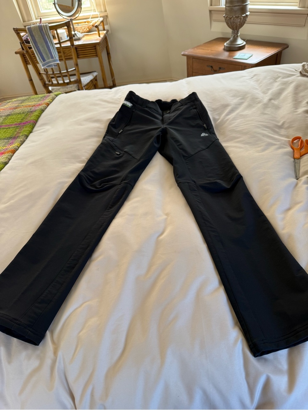 EMS Ascent outdoor pants with water resistant finish. Very comfortable, durable.